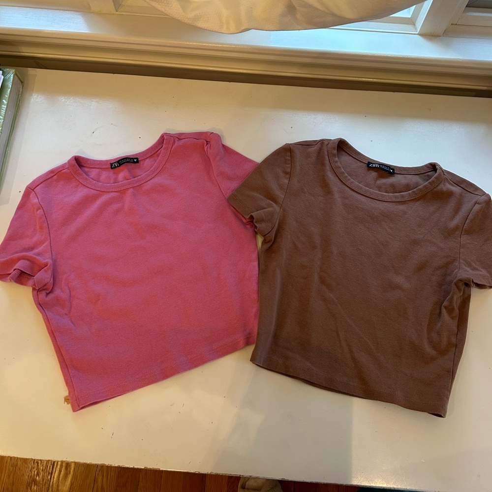 Zara cropped t-shirts (pink and brown)